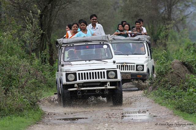 Assam Kaziranga National Park Tour – 1N/2D - Banner