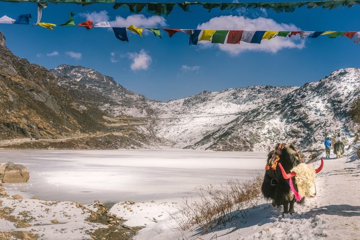 Gangtok Lachen Lachung Pelling Tour 8N/9Days - Banner