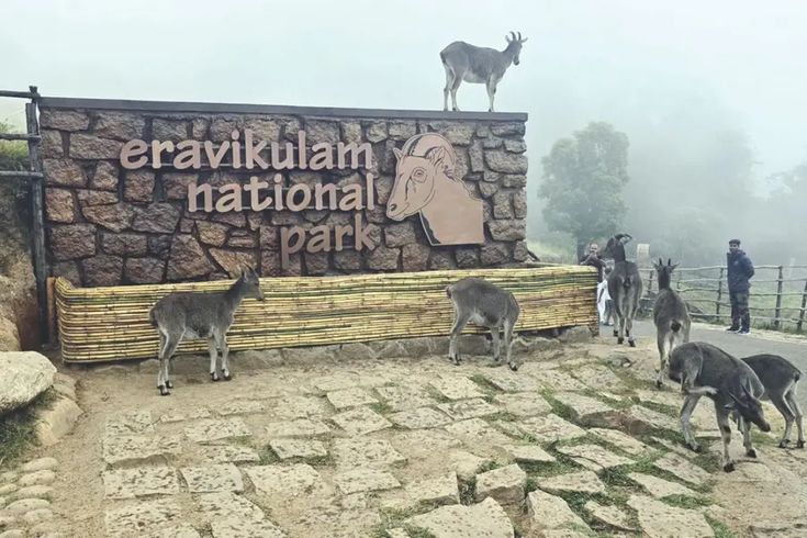 Kerala Tour Package - Banner